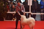 3ème Best in Show Puppy Bourges 2016